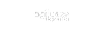 Agilus Diagnostics Logo