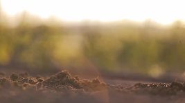 Sustainability - IHH Healthcare